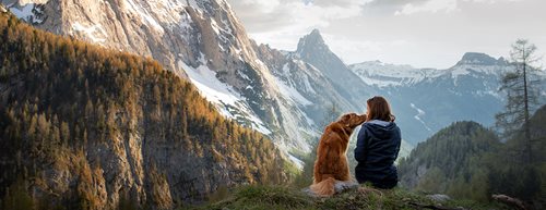 С куче в планината: Какво трябва да знаете?