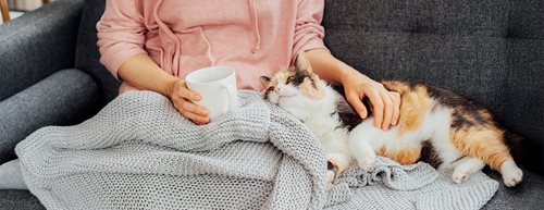 Отпуснете се, въпреки липсата на време: 7 съвета за релакс вечер  