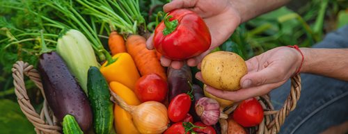 Биопродукти: Защо все повече хора ги избират?